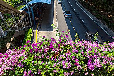 疑似《火焰纹章》新作图像泄露 主角红蓝配色发型醒目